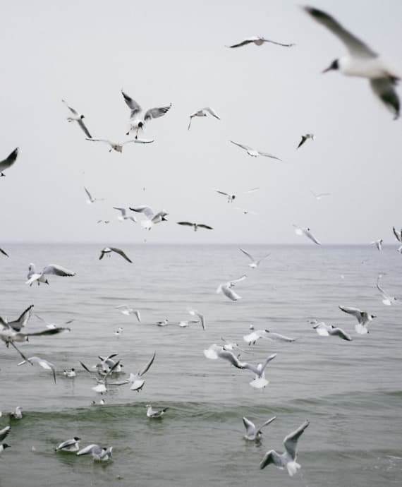 Environmental protection